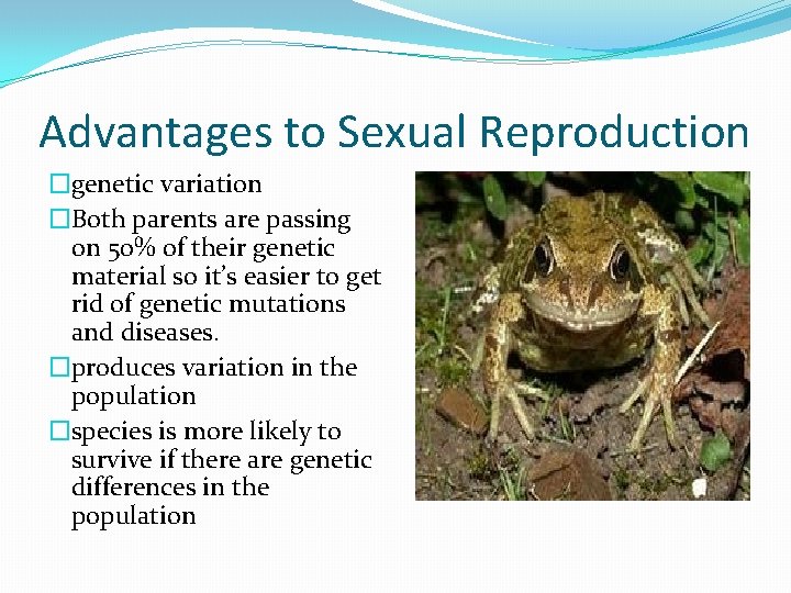 Advantages to Sexual Reproduction �genetic variation �Both parents are passing on 50% of their