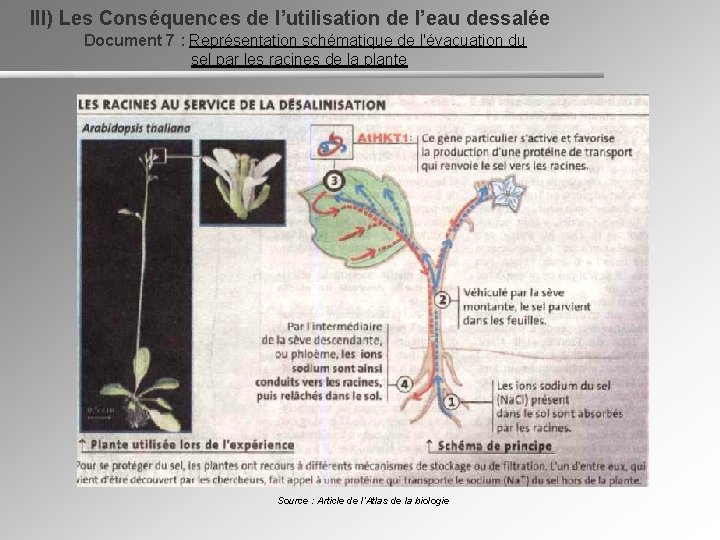 III) Les Conséquences de l’utilisation de l’eau dessalée Document 7 : Représentation schématique de