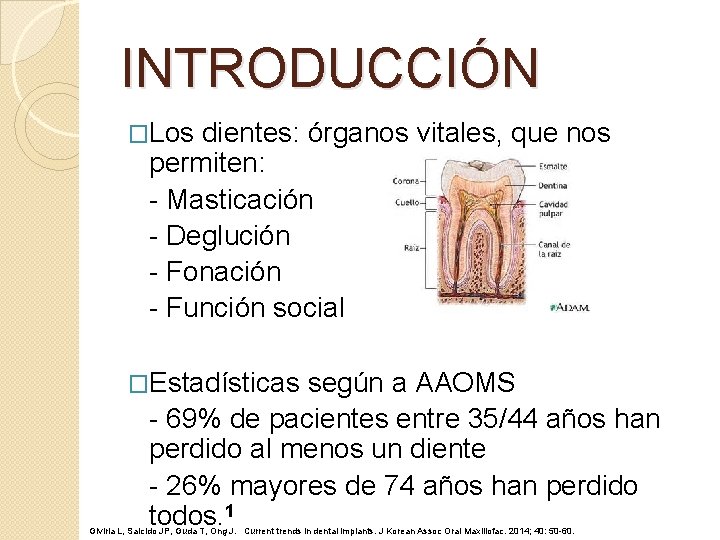 INTRODUCCIÓN �Los dientes: órganos vitales, que nos permiten: - Masticación - Deglución - Fonación