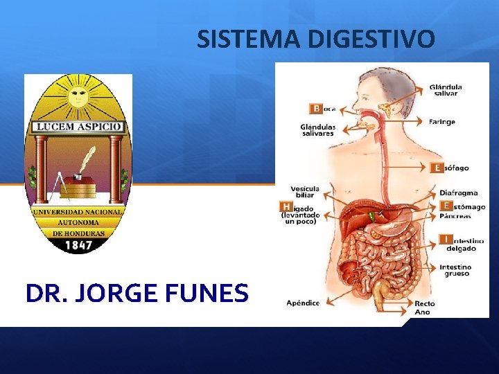 SISTEMA DIGESTIVO DR. JORGE FUNES 