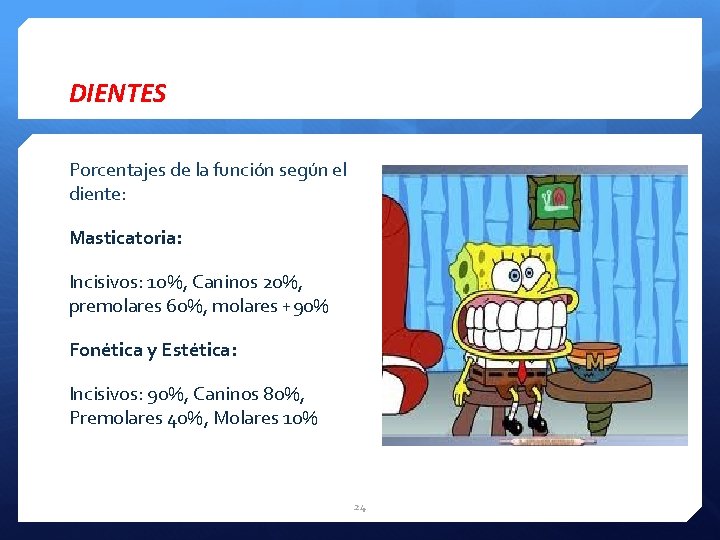 DIENTES Porcentajes de la función según el diente: Masticatoria: Incisivos: 10%, Caninos 20%, premolares