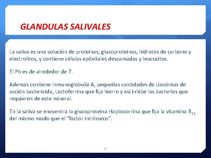 GLANDULAS SALIVALES La saliva es una solución de proteínas, glucoproteinas, hidratos de carbono y