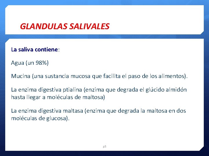 GLANDULAS SALIVALES La saliva contiene: Agua (un 98%) Mucina (una sustancia mucosa que facilita