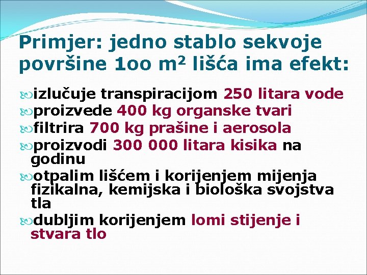 Primjer: jedno stablo sekvoje površine 1 oo m 2 lišća ima efekt: izlučuje transpiracijom