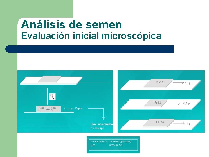 Análisis de semen Evaluación inicial microscópica 
