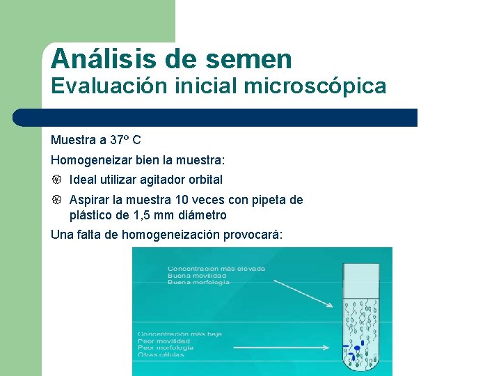 Análisis de semen Evaluación inicial microscópica Muestra a 37º C Homogeneizar bien la muestra: