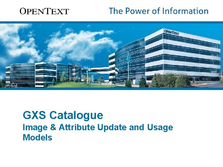 GXS Catalogue Image & Attribute Update and Usage Models 