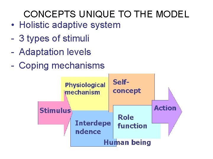  • - CONCEPTS UNIQUE TO THE MODEL Holistic adaptive system 3 types of