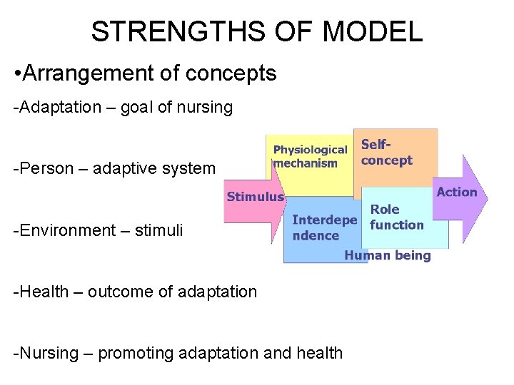 STRENGTHS OF MODEL • Arrangement of concepts -Adaptation – goal of nursing -Person –