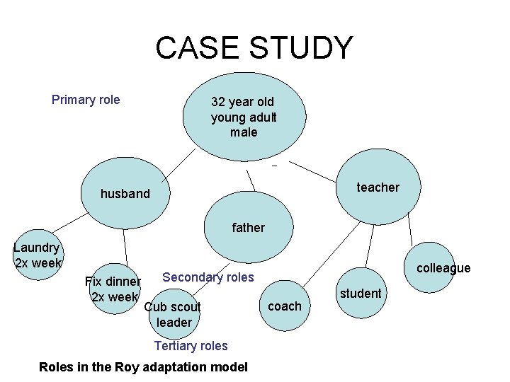 CASE STUDY Primary role 32 year old young adult male teacher husband father Laundry