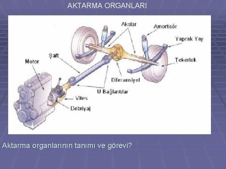 AKTARMA ORGANLARI Aktarma organlarının tanımı ve görevi? 