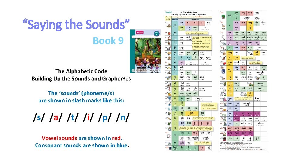 “Saying the Sounds” Book 9 The Alphabetic Code Building Up the Sounds and Graphemes