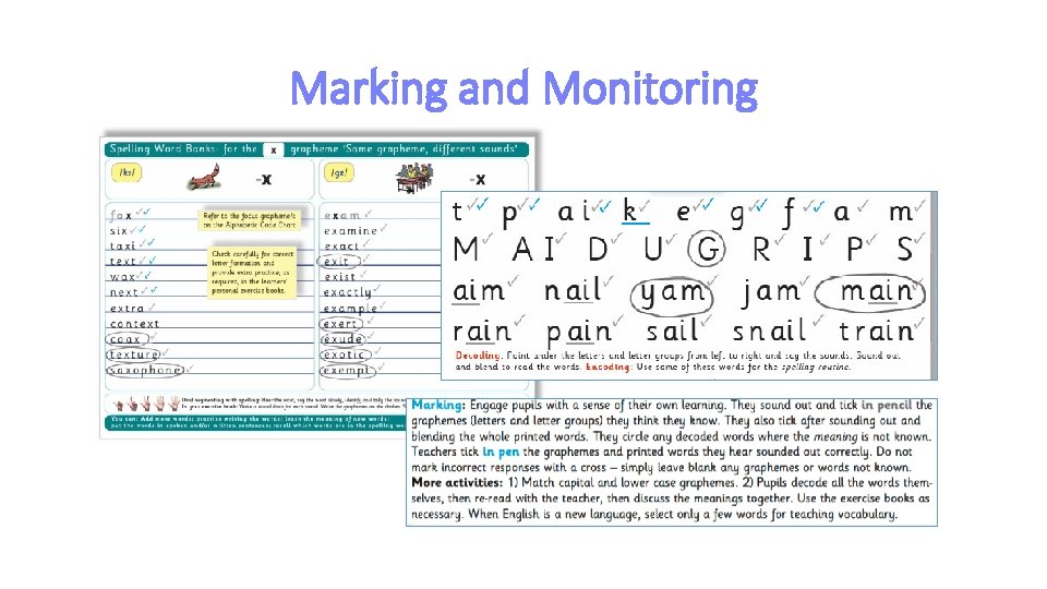 Marking and Monitoring 