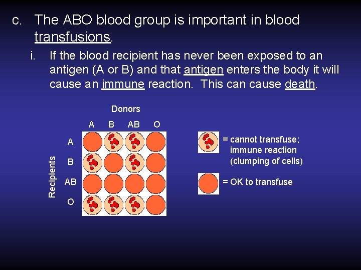 c. The ABO blood group is important in blood transfusions. If the blood recipient