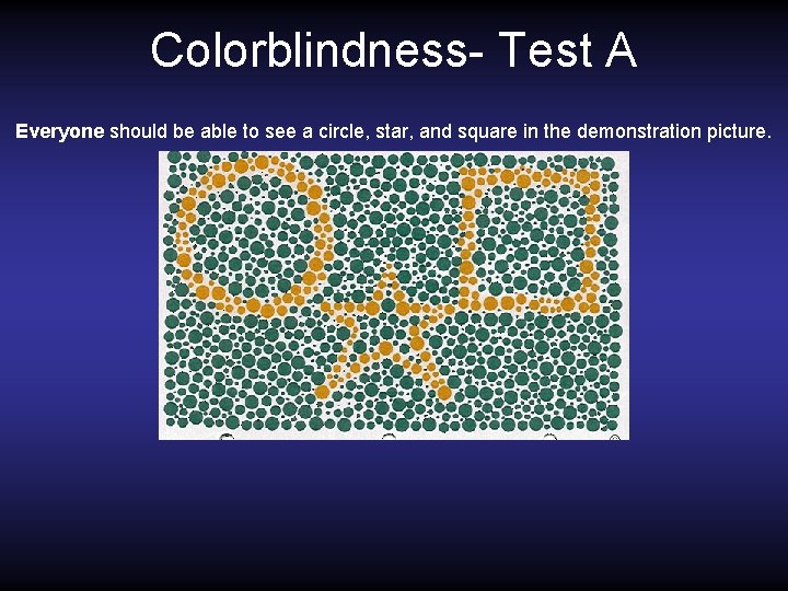 Colorblindness- Test A Everyone should be able to see a circle, star, and square