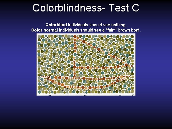 Colorblindness- Test C Colorblind individuals should see nothing. Color normal individuals should see a