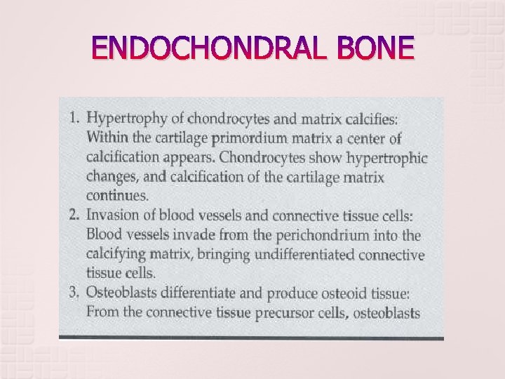 ENDOCHONDRAL BONE ENDOCHONDRAL BONE