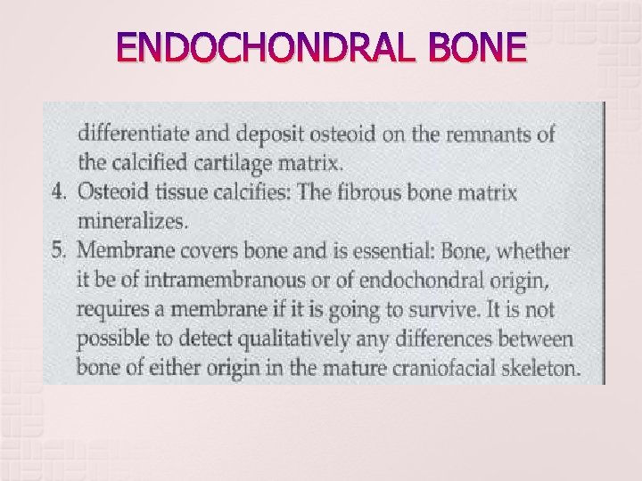 ENDOCHONDRAL BONE ENDOCHONDRAL BONE