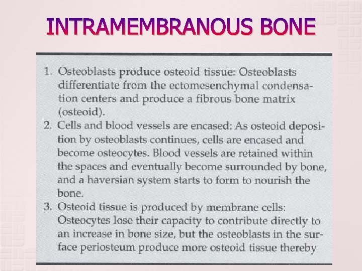 INTRAMEMBRANOUS BONE INTRAMEMBRANOUS BONE