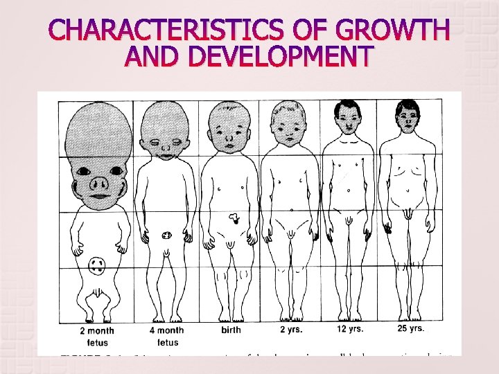 CHARACTERISTICS OF GROWTH AND DEVELOPMENT CHARACTERISTICS OF GROWTH AND DEVELOPMENT