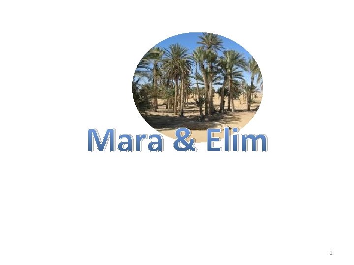 Mara & Elim 1 Mara & Elim 1