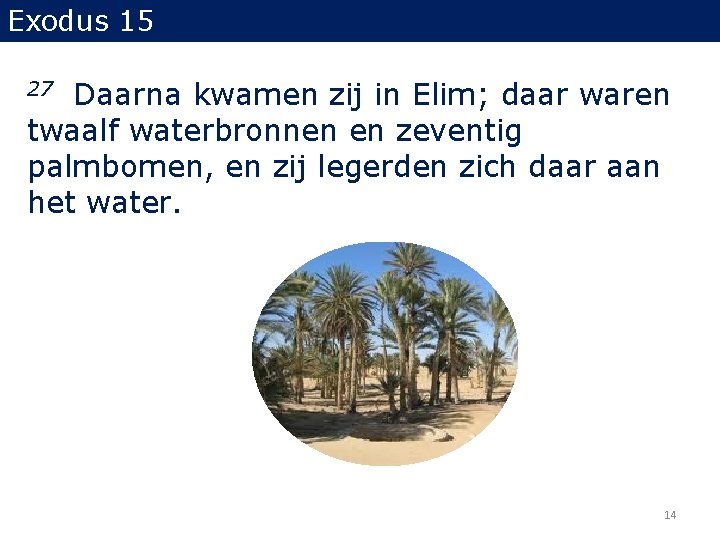 Exodus 15 Daarna kwamen zij in Elim; daar waren twaalf waterbronnen en zeventig palmbomen, Exodus 15 Daarna kwamen zij in Elim; daar waren twaalf waterbronnen en zeventig palmbomen,