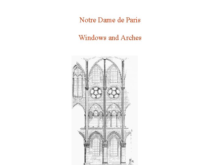 Notre Dame de Paris Windows and Arches 