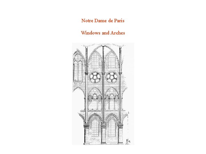 Notre Dame de Paris Windows and Arches 