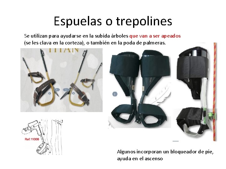 Espuelas o trepolines Se utilizan para ayudarse en la subida árboles que van a