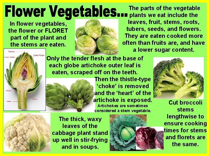 The parts of the vegetable plants we eat include the leaves, fruit, stems, roots,