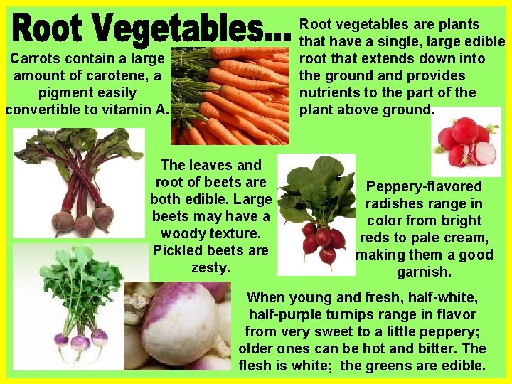 Root vegetables are plants that have a single, large edible root that extends down