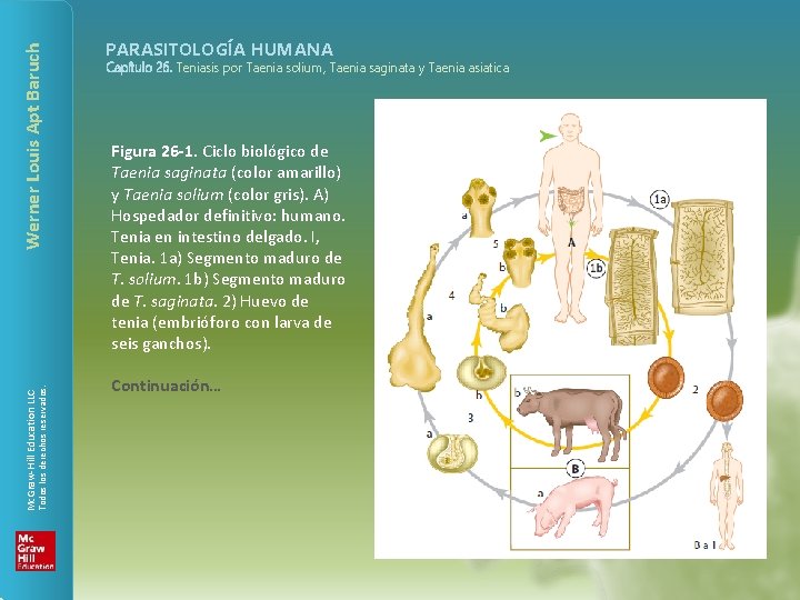 Werner Louis Apt Baruch Todos los derechos reservados. Mc. Graw-Hill Education LLC PARASITOLOGÍA HUMANA Werner Louis Apt Baruch Todos los derechos reservados. Mc. Graw-Hill Education LLC PARASITOLOGÍA HUMANA