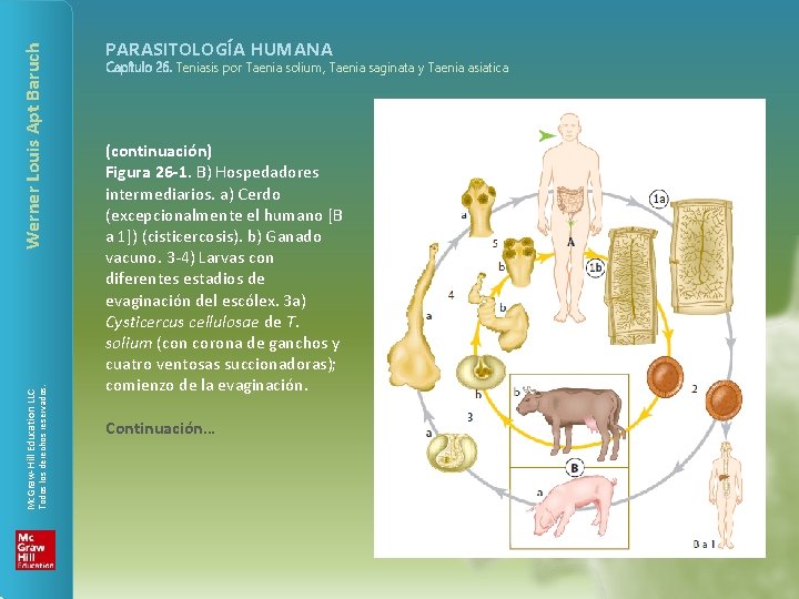 Werner Louis Apt Baruch Todos los derechos reservados. Mc. Graw-Hill Education LLC PARASITOLOGÍA HUMANA Werner Louis Apt Baruch Todos los derechos reservados. Mc. Graw-Hill Education LLC PARASITOLOGÍA HUMANA
