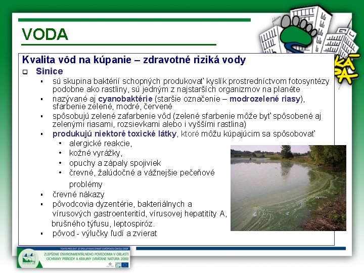 VODA Kvalita vôd na kúpanie – zdravotné riziká vody q Sinice sú skupina baktérií