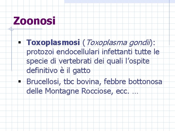 Zoonosi § Toxoplasmosi (Toxoplasma gondii): protozoi endocellulari infettanti tutte le specie di vertebrati dei