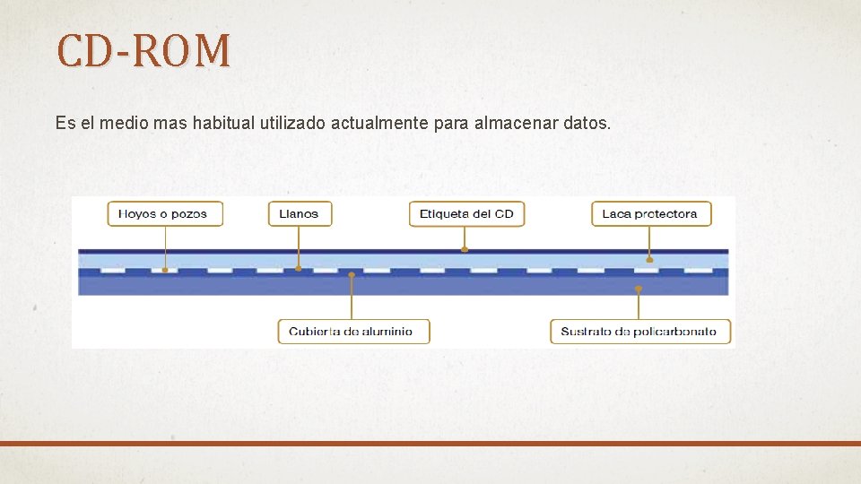 CD-ROM Es el medio mas habitual utilizado actualmente para almacenar datos. 