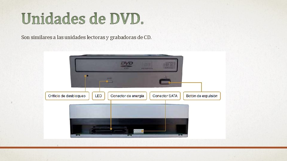 Unidades de DVD. Son similares a las unidades lectoras y grabadoras de CD. 