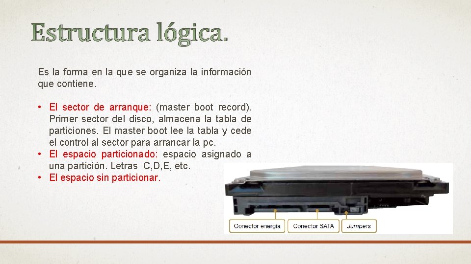 Estructura lógica. Es la forma en la que se organiza la información que contiene.