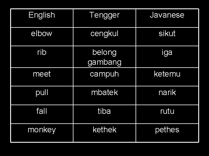 English Tengger Javanese elbow cengkul sikut rib iga meet belong gambang campuh ketemu pull