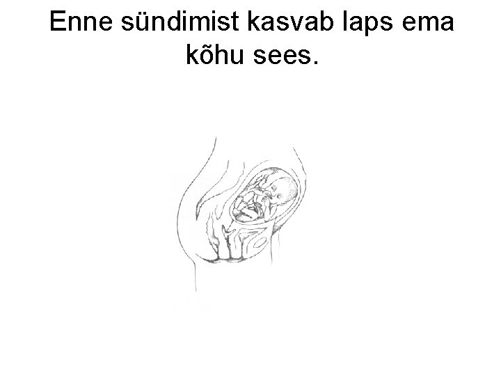 Enne sündimist kasvab laps ema kõhu sees. 