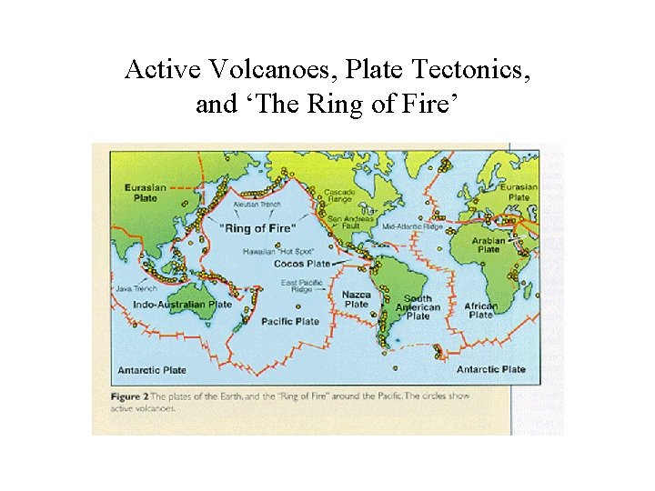 Active Volcanoes, Plate Tectonics, and ‘The Ring of Fire’ 
