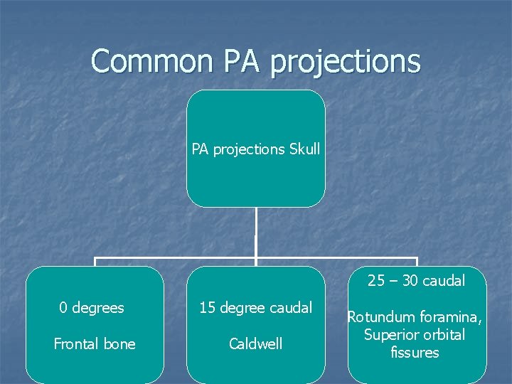 Common PA projections Skull 25 – 30 caudal 0 degrees 15 degree caudal Frontal