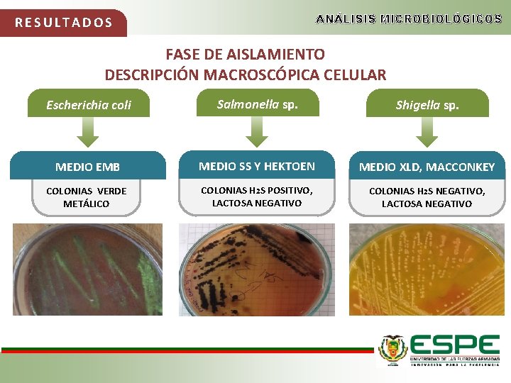 ANÁLISIS MICROBIOLÓGICOS RESULTADOS FASE DE AISLAMIENTO DESCRIPCIÓN MACROSCÓPICA CELULAR Escherichia coli Salmonella sp. Shigella