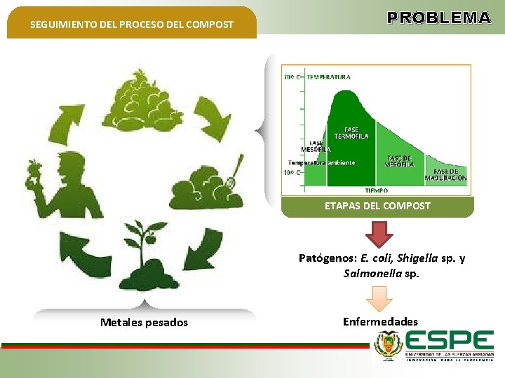 SEGUIMIENTO DEL PROCESO DEL COMPOST PROBLEMA ETAPAS DEL COMPOST Patógenos: E. coli, Shigella sp.