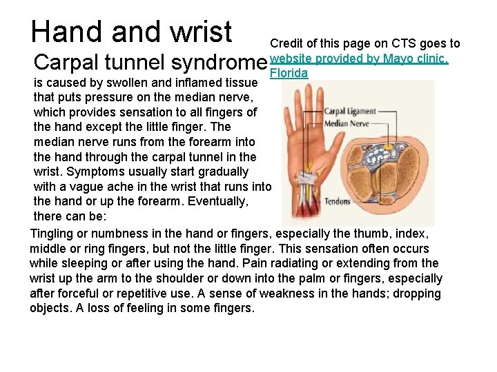 Hand wrist Carpal tunnel syndrome Credit of this page on CTS goes to website