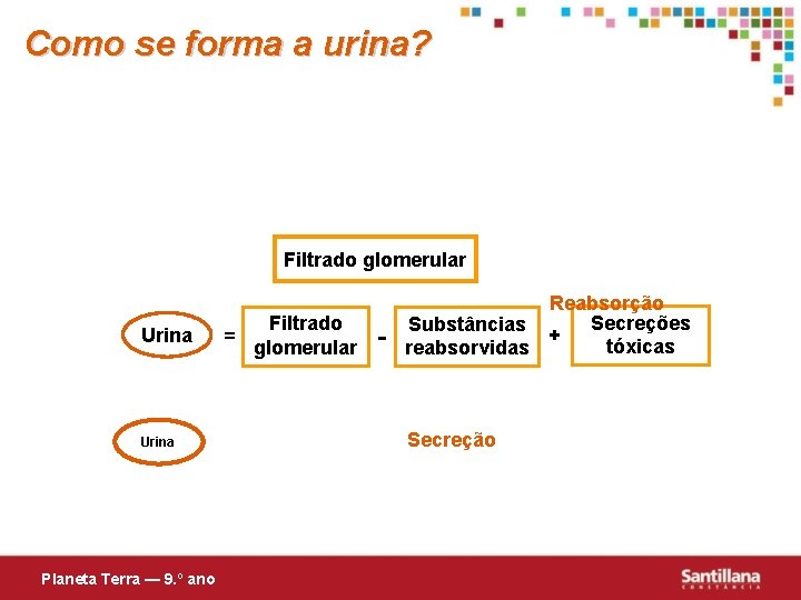 Como se forma a urina? Filtrado glomerular Urina Planeta Terra — 9. º ano