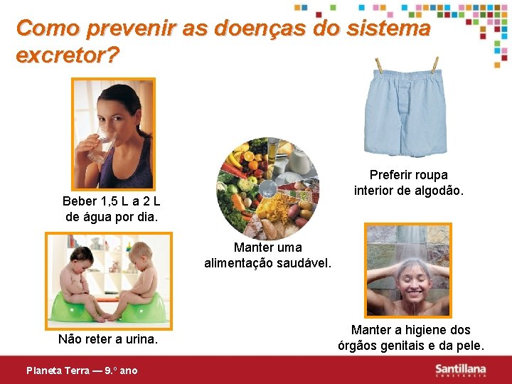 Como prevenir as doenças do sistema excretor? Preferir roupa interior de algodão. Beber 1,