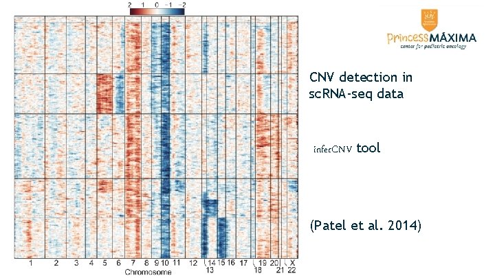 CNV detection in sc. RNA-seq data infer. CNV tool (Patel et al. 2014) CNV detection in sc. RNA-seq data infer. CNV tool (Patel et al. 2014)