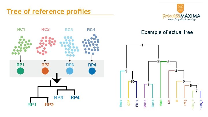 Tree of reference profiles Example of actual tree Tree of reference profiles Example of actual tree