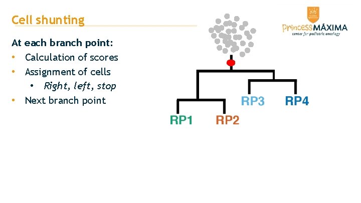 Cell shunting At each branch point: • Calculation of scores • Assignment of cells Cell shunting At each branch point: • Calculation of scores • Assignment of cells